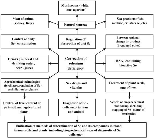 Selenium Deficiency: Causes, Symptoms,&zwnj; and Implications for Thyroid Health