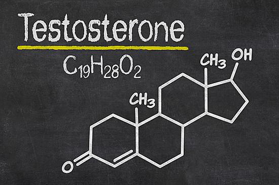 Testosterone 101: The Male Hormone and Its Impact on Overall Health