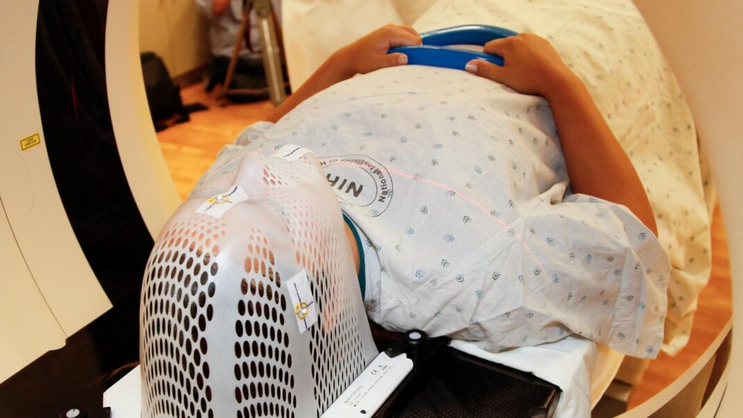 Evaluating Quality: How to Choose the Safest and Most Effective Supplements