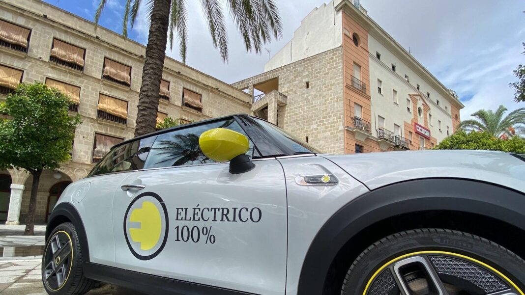 Coenzyme Q10: The Antioxidant That Helps Power Your Cells