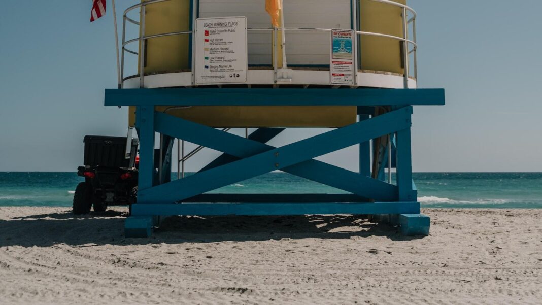 Safeguarding Male Reproductive Health: Environmental Toxins and Fertility