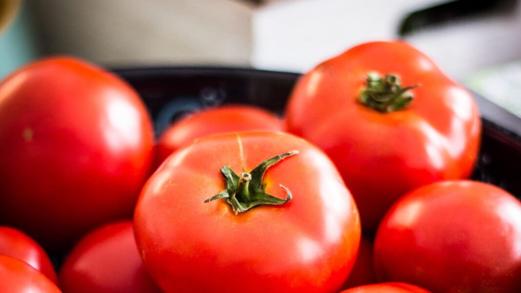 Supplements for Cognitive Function: Nootropics and Brain Health