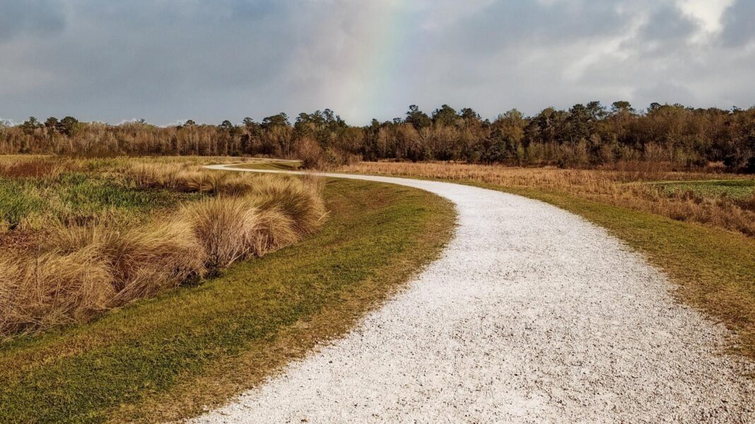 Preserving Joint Health: Supplements and Lifestyle Changes