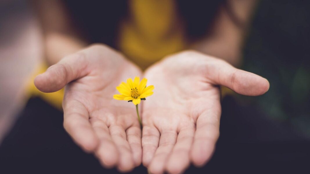 Mindfulness Meditation for Seniors: A Path to Inner Peace