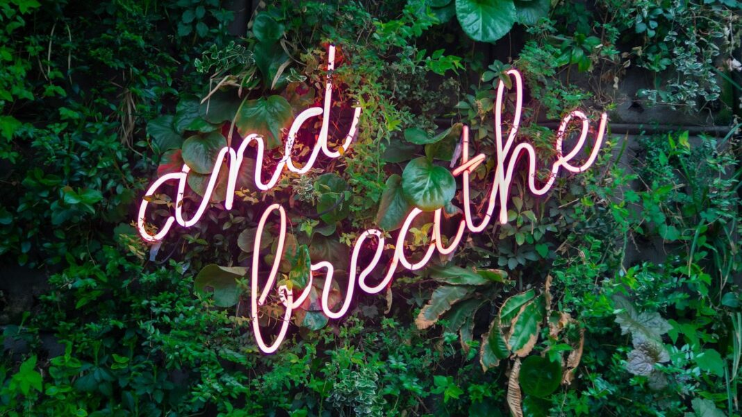 Mindful Yoga for Office Workers: Stretching and Relaxation at Your Desk