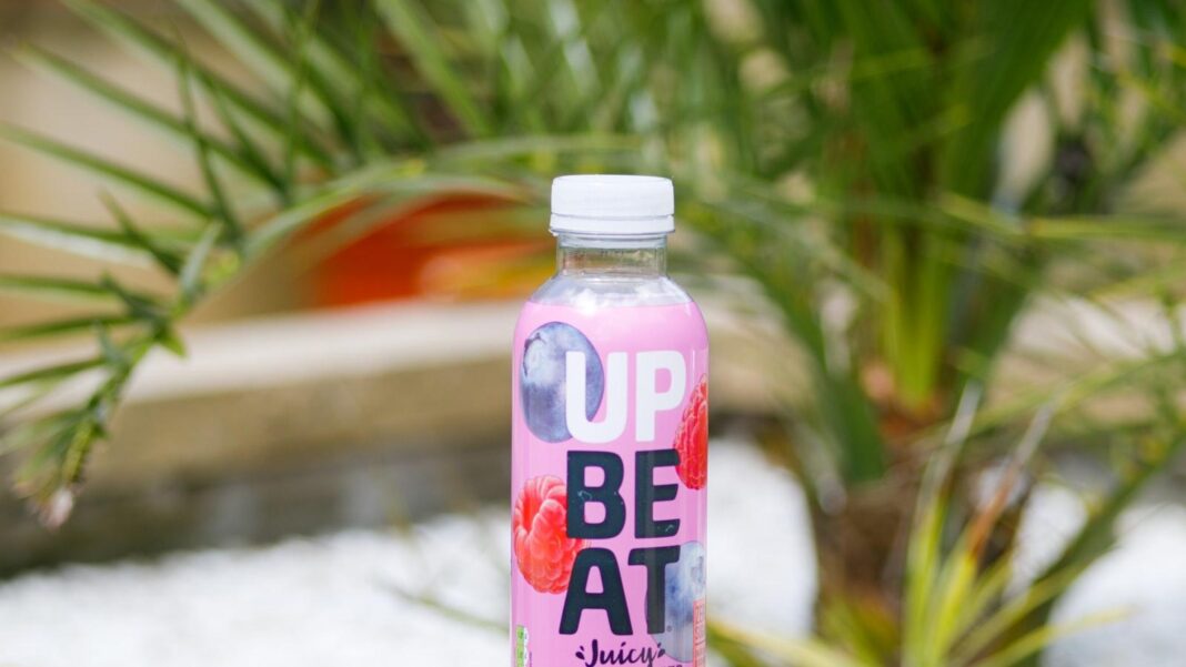 Nourishing the Aging Brain: Foods Rich in Antioxidants and Neuroprotectants