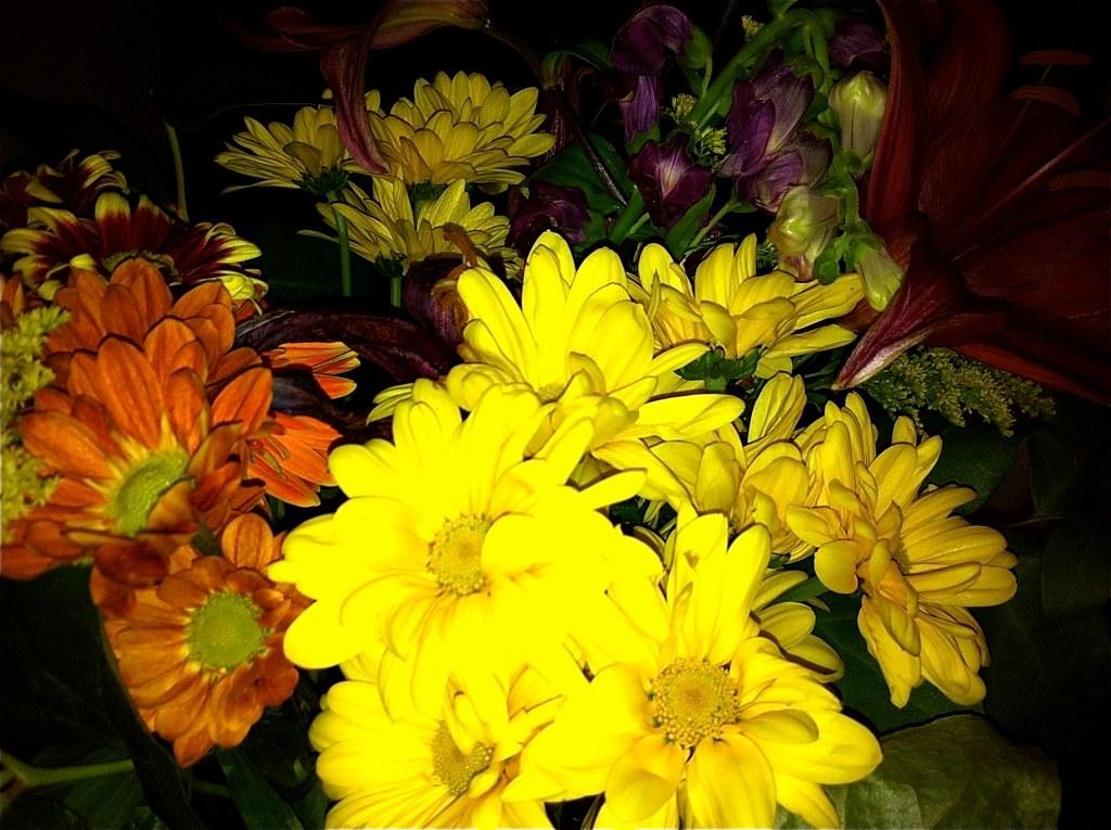 Discovering the Boundless Potential of Lifelong ⁤Learning