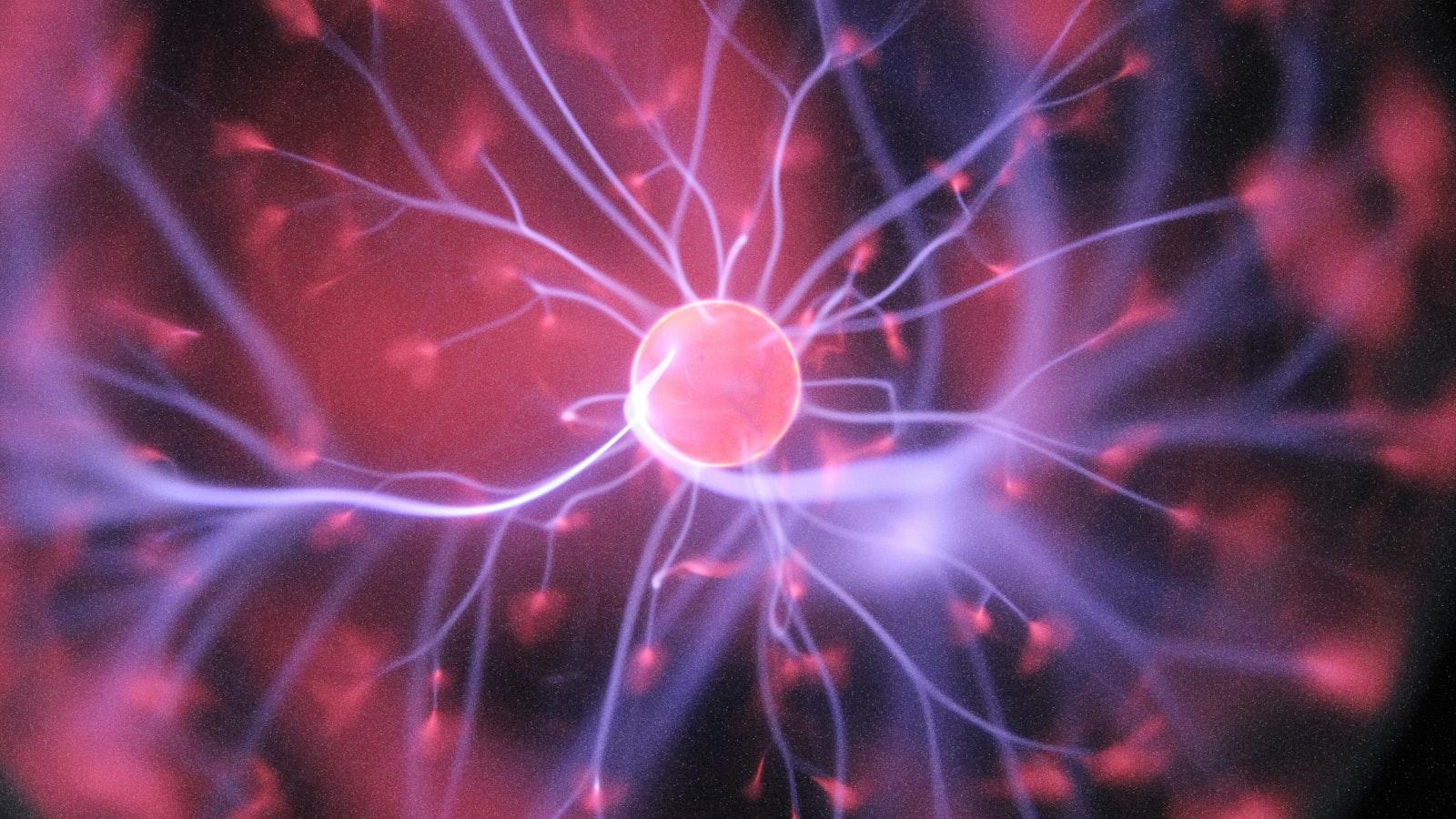 Boost​ Your​ Brain: Key⁣ Considerations When Choosing Nootropics