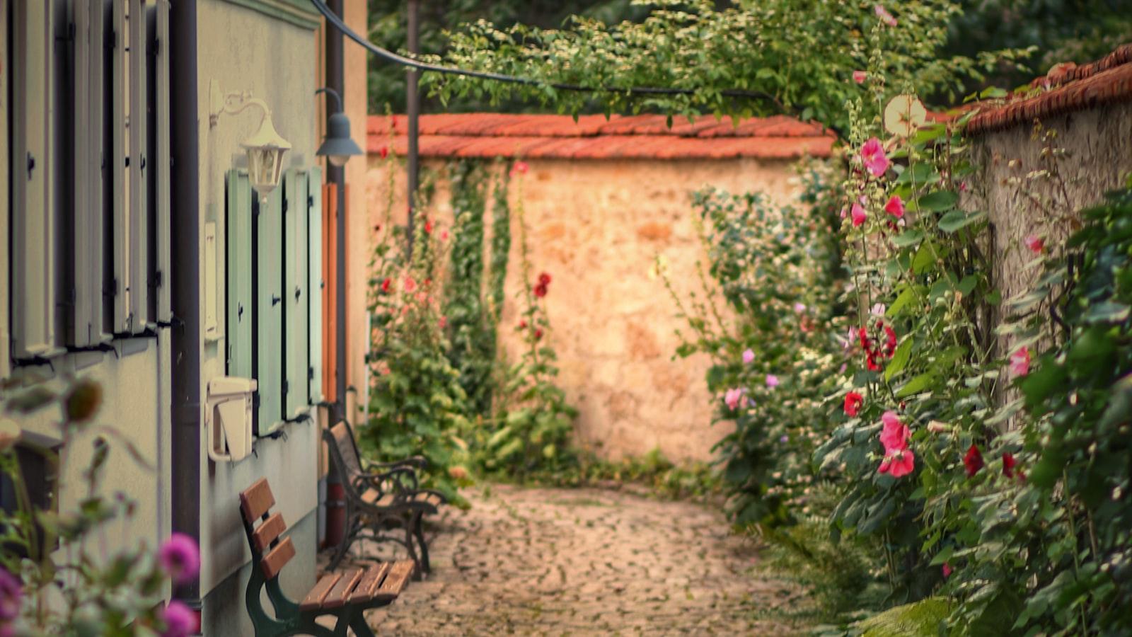 Unlocking the⁢ Secrets of Youth: Enhancing Well-being through Natural Anti-aging Remedies