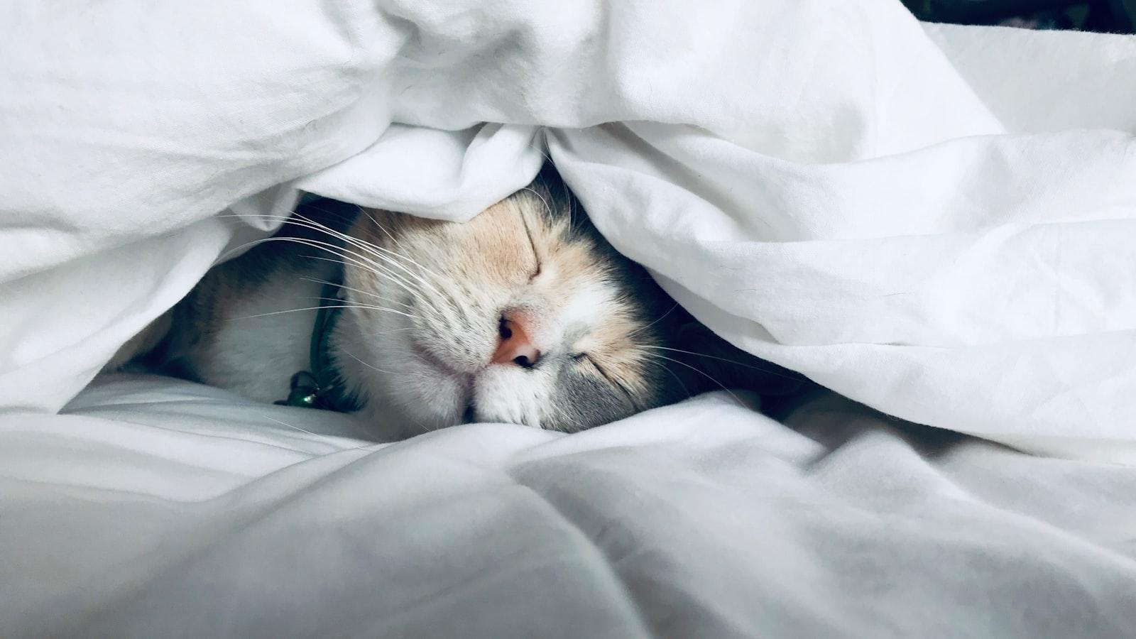 Exploring the Impact of Sleep Deprivation on Men's &zwj;Physical and Mental ​Health