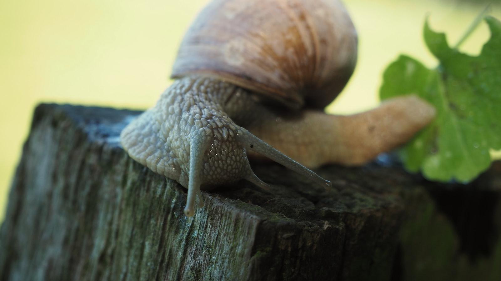 Unwind and Let Go: Essential Yoga Poses for Stress Relief