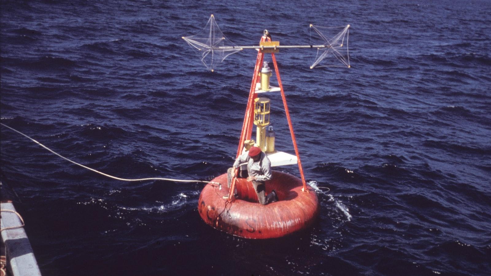 Research Findings: Identifying Key Environmental Toxins⁣ and their Detrimental Effects on ‌Male Fertility