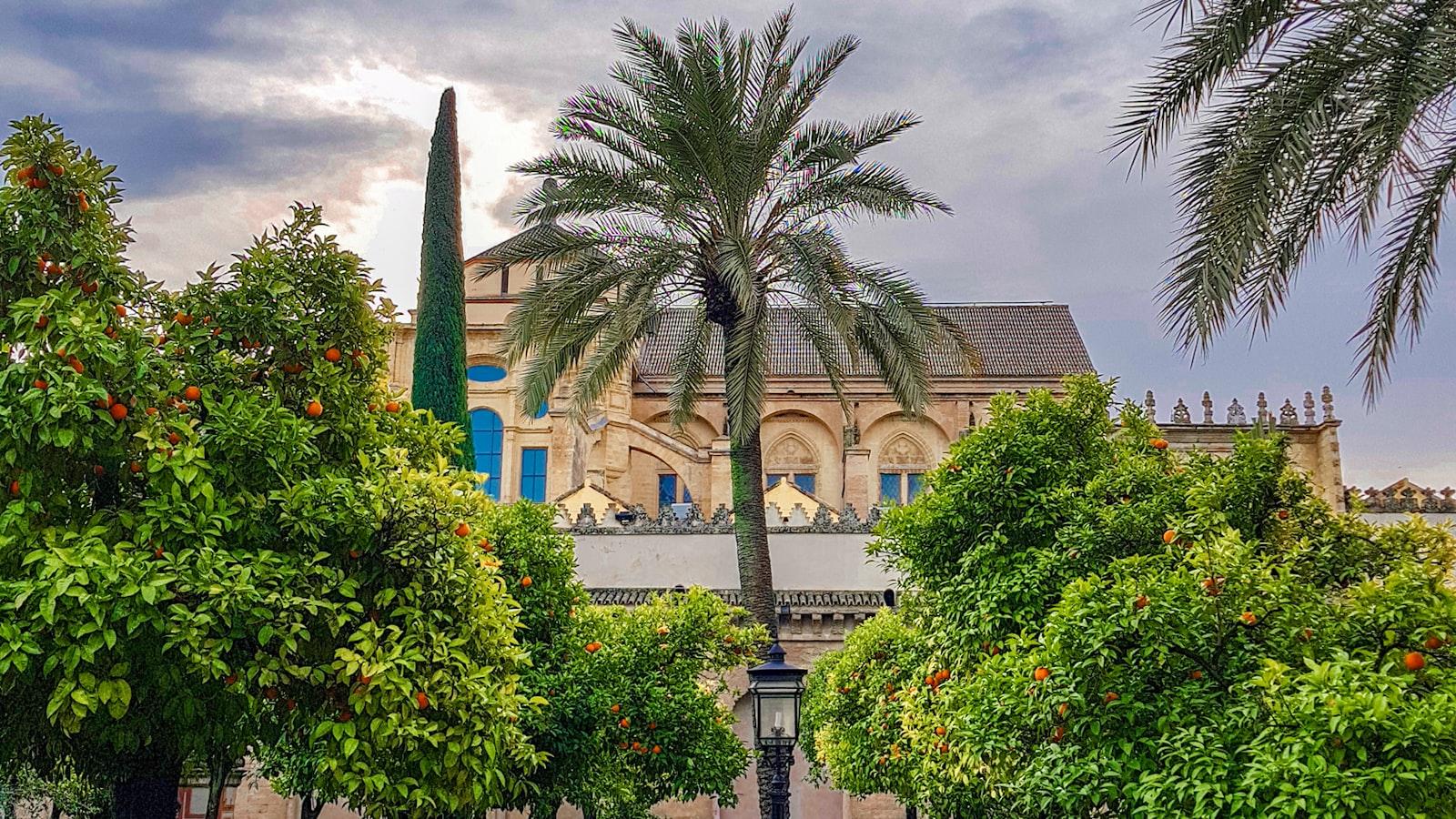 Incorporating Balanced Nutrition into⁣ Your Weight Loss Journey