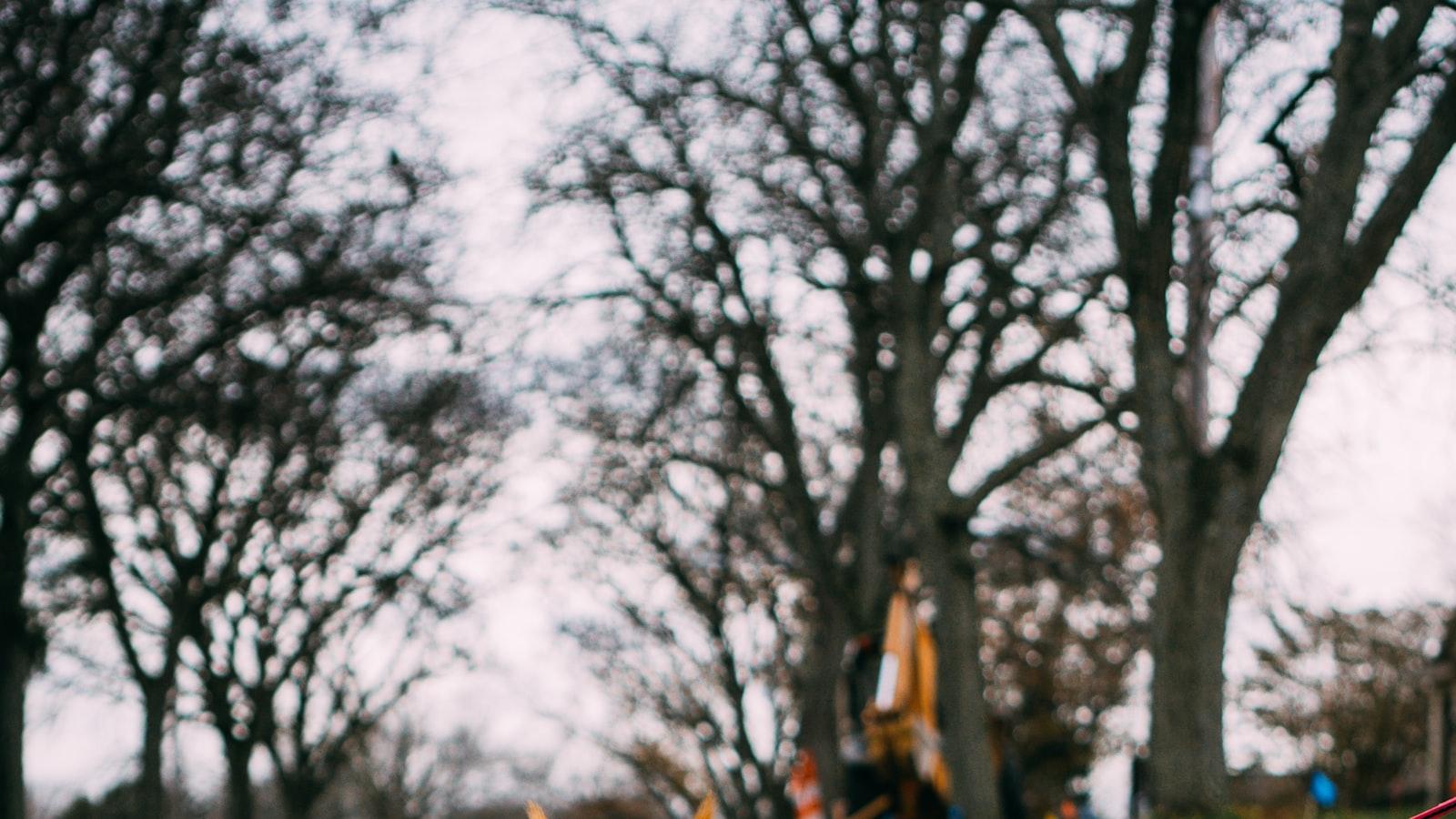 - Harnessing the Energy of the Earth: Deepening Mind-Body Connection through Grounding Techniques