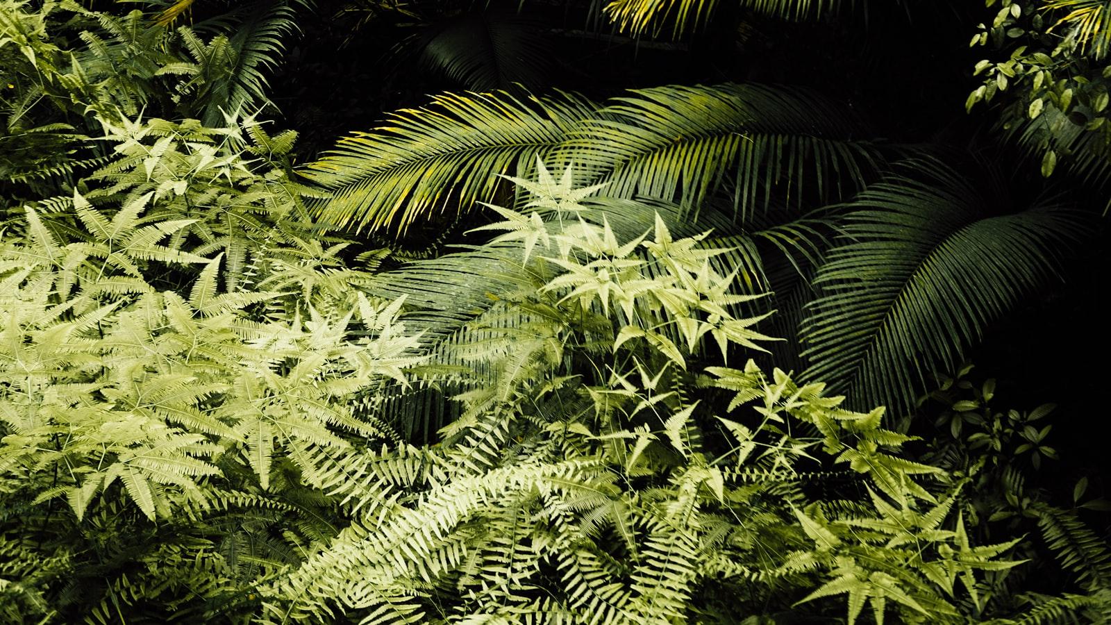 - Letting Nature Guide Your Flow: Incorporating Elemental Themes into Outdoor Yoga Sessions