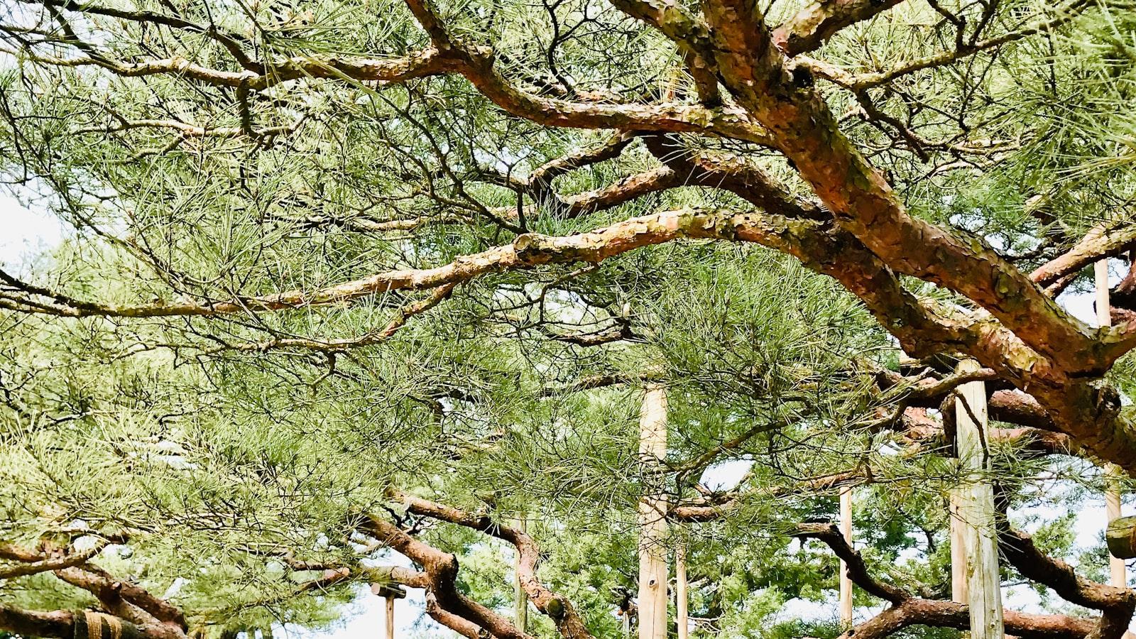 4. Safe and Supportive Practice: Key‌ Considerations to Ensure ‍a Positive Yoga Experience ⁣for Seniors