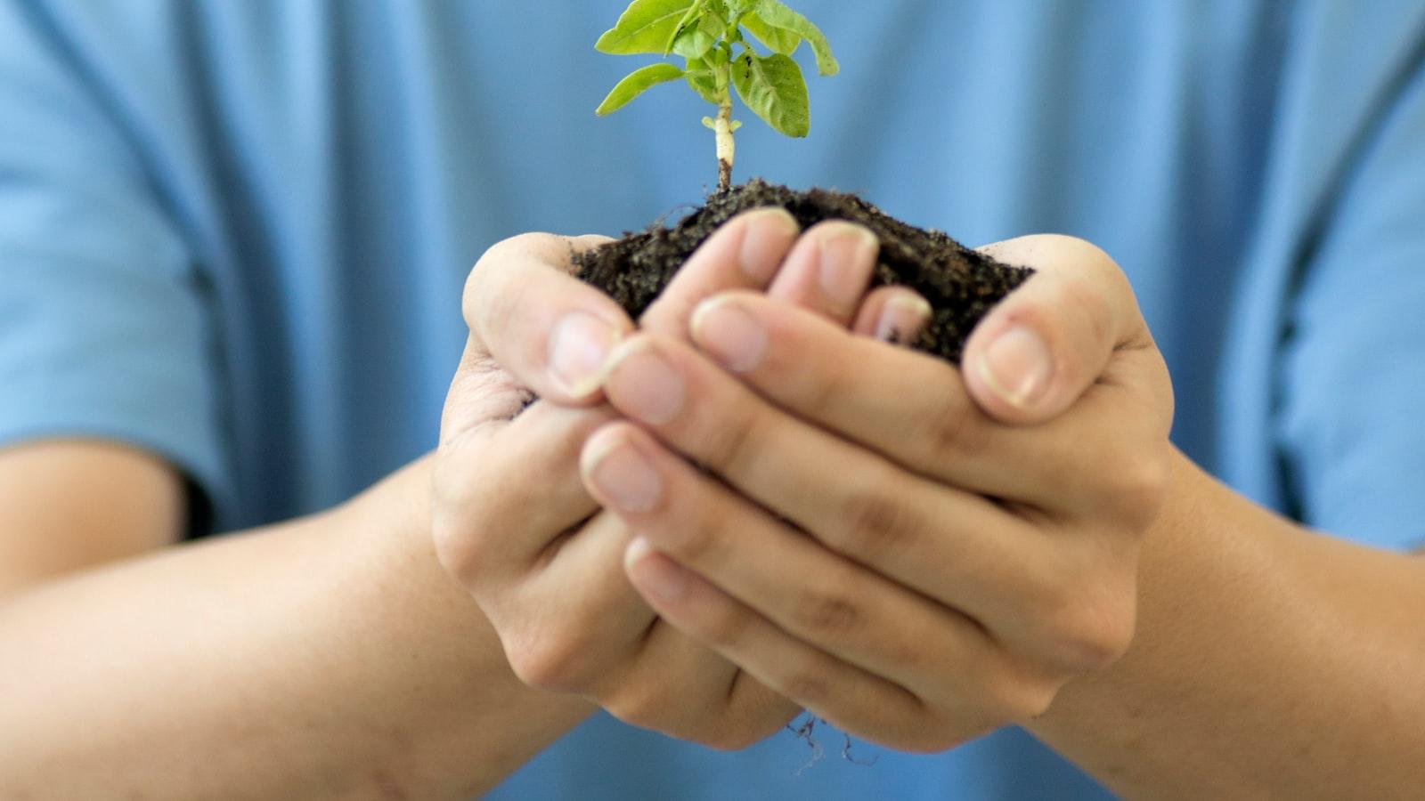 Nurturing a Healthy ⁣Mind and Body:‌ Nutrition Tips ⁣for Men ⁢in their 40s