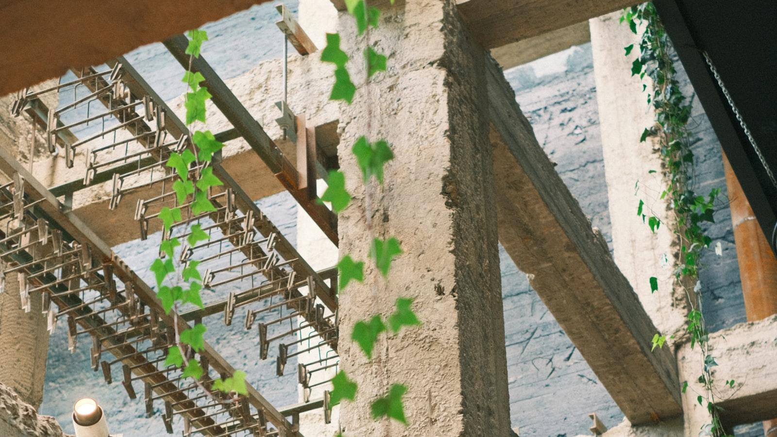 Integrating Mind, Body, and Spirit: The Holistic Approach of ​Yoga ‌Philosophy