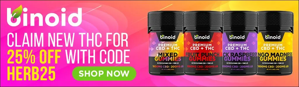 Binoid Quality Assurance